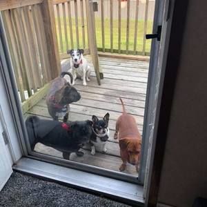 Meet your Posher, Betty